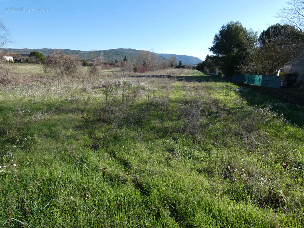 Terrain à MONTLAUR
