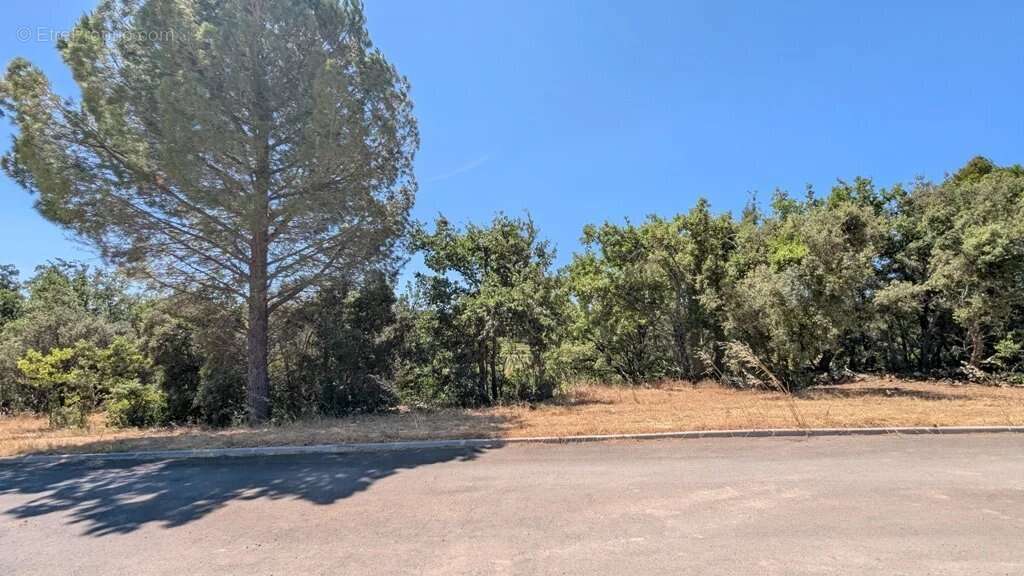 CARCES - Terrains à bâtir libre constructeur à partir de 1.500m² - photo 12