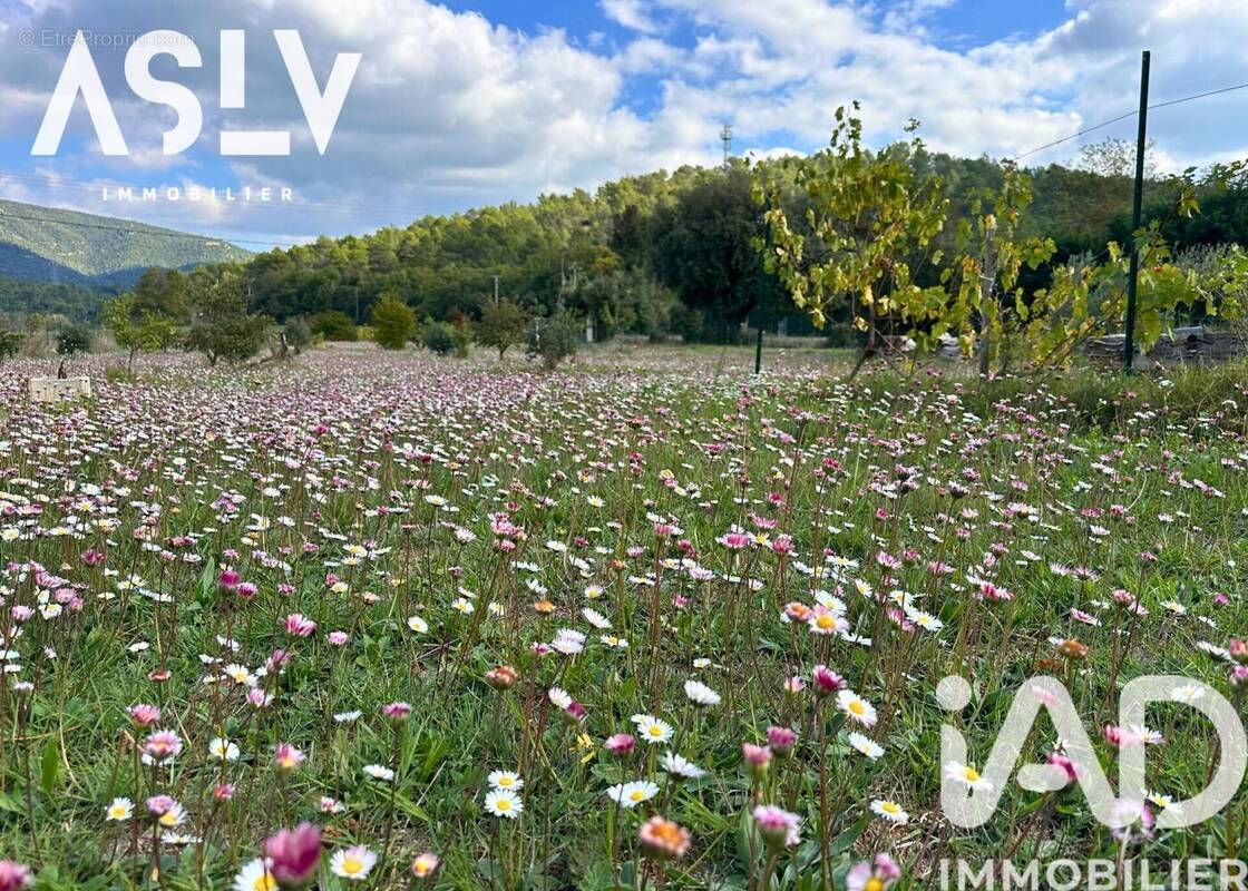 Photo 1 - Maison à SIGNES