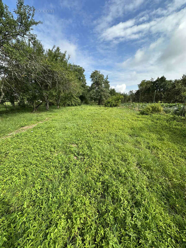 Maison à NEUVILLER-LES-BADONVILLER