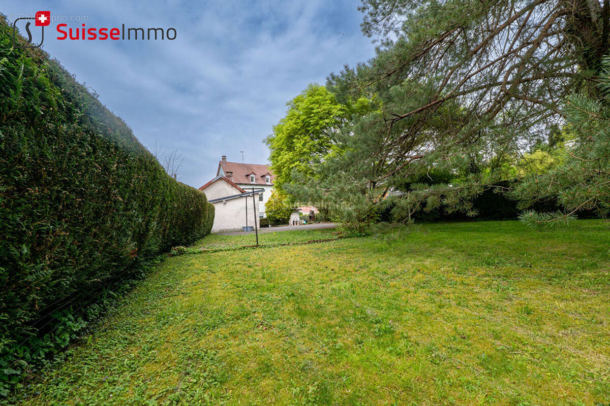Immeuble 3 appartements 223m2 DASLE - photo 3