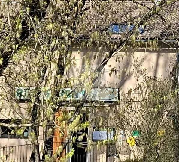 Commerce à LE COLLET-DE-DEZE