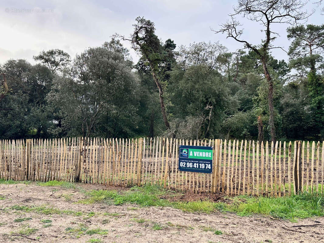 Terrain à LA BOUILLIE