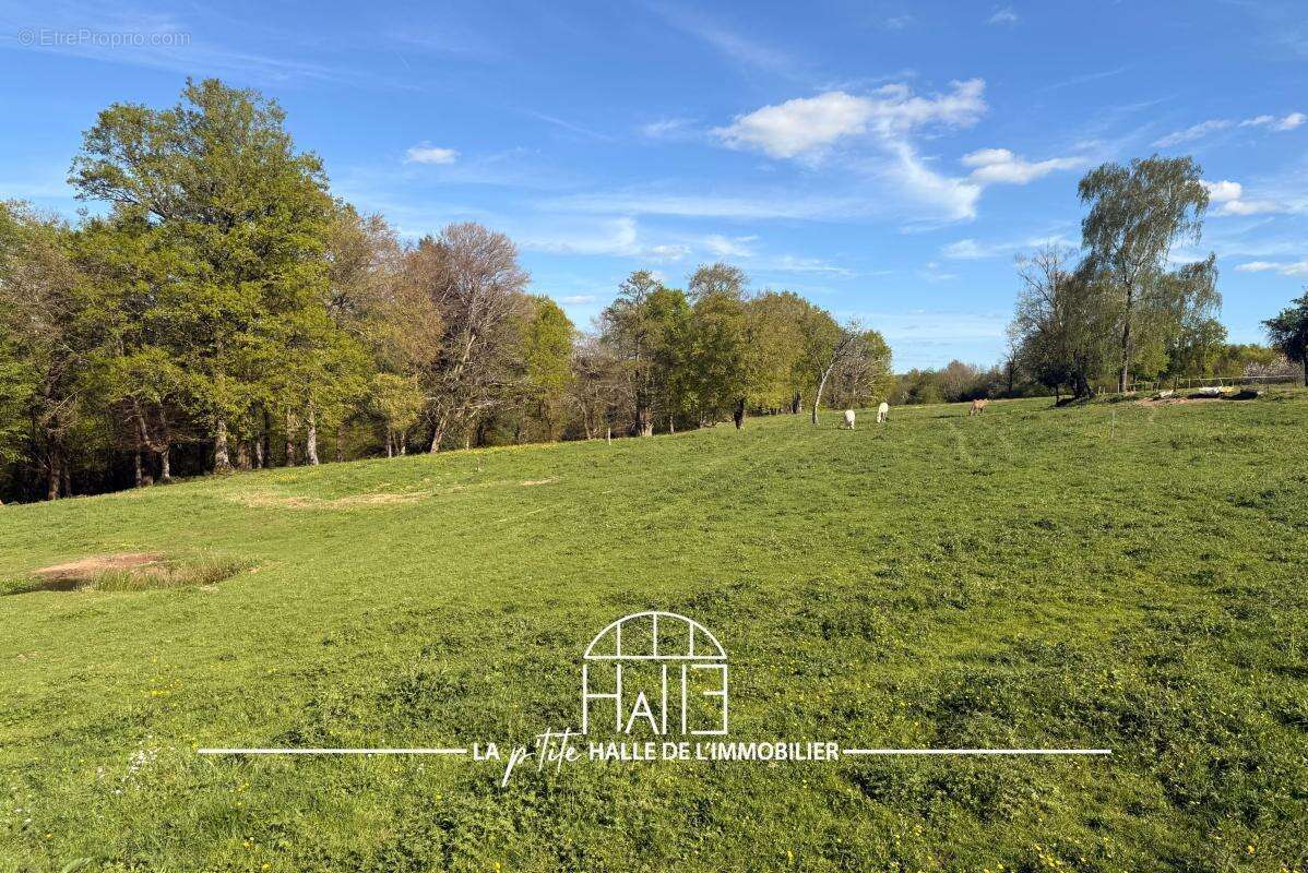 Terrain à SAINT-JUST-LE-MARTEL