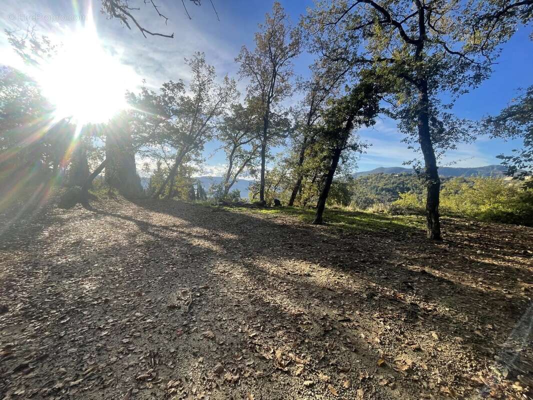 Terrain à BERRE-LES-ALPES