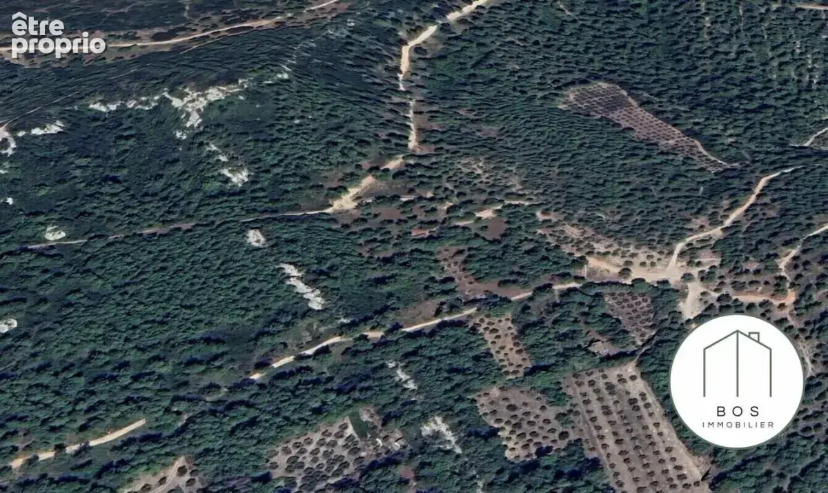 Votre Mazet au coeur des Alpilles - photo 16