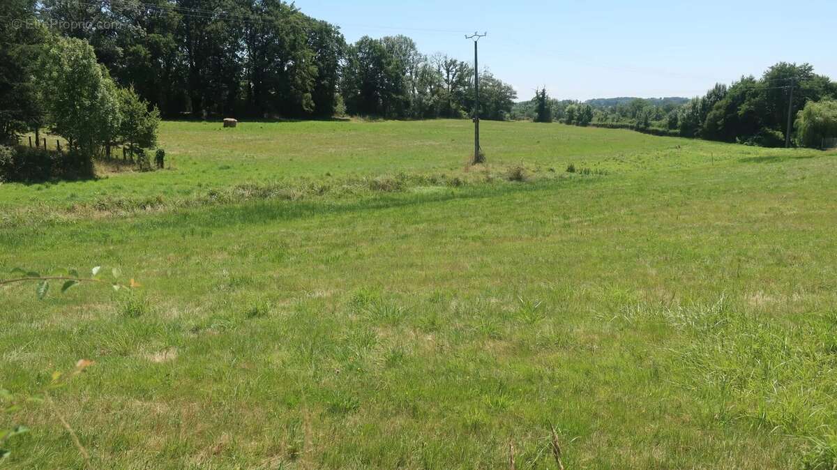 Terrain à SAINT-SULPICE-LES-FEUILLES