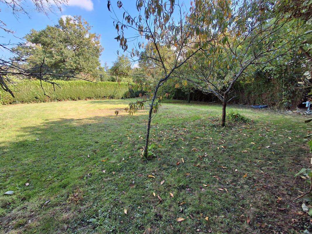 Terrain à NOUVOITOU