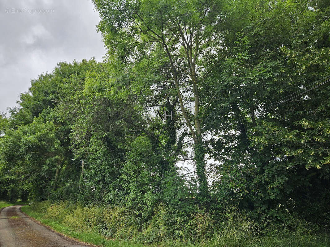 Terrain à VALFRAMBERT