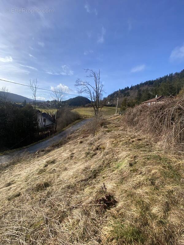 Terrain à GRAND'COMBE-CHATELEU