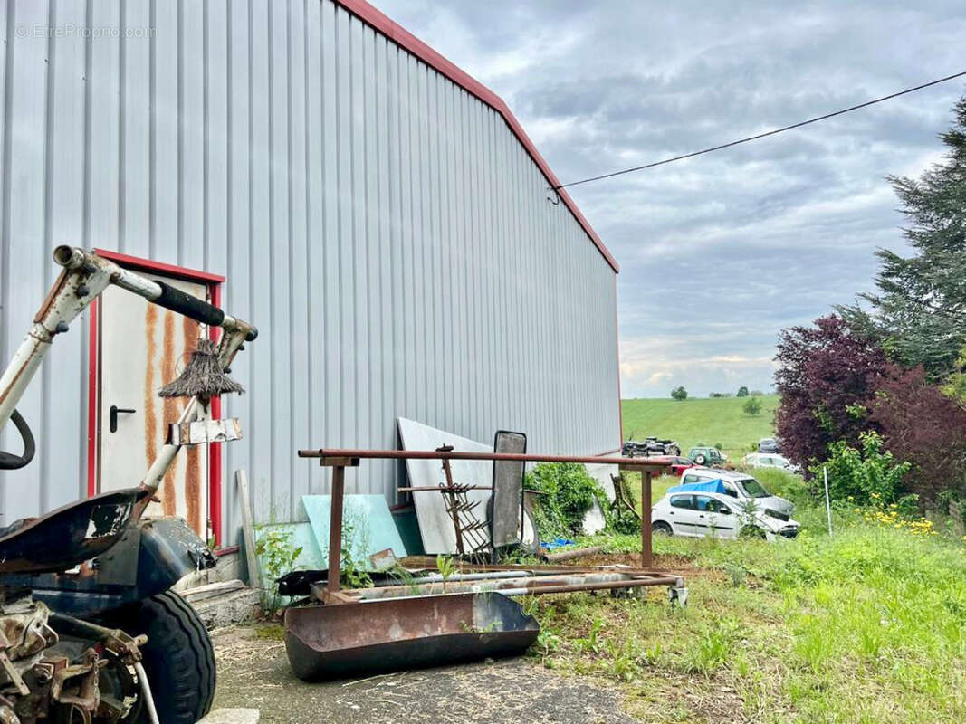 Commerce à WALTENHEIM