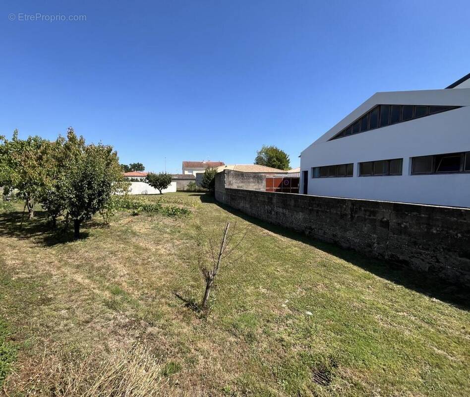 Terrain à SAINT-VIAUD