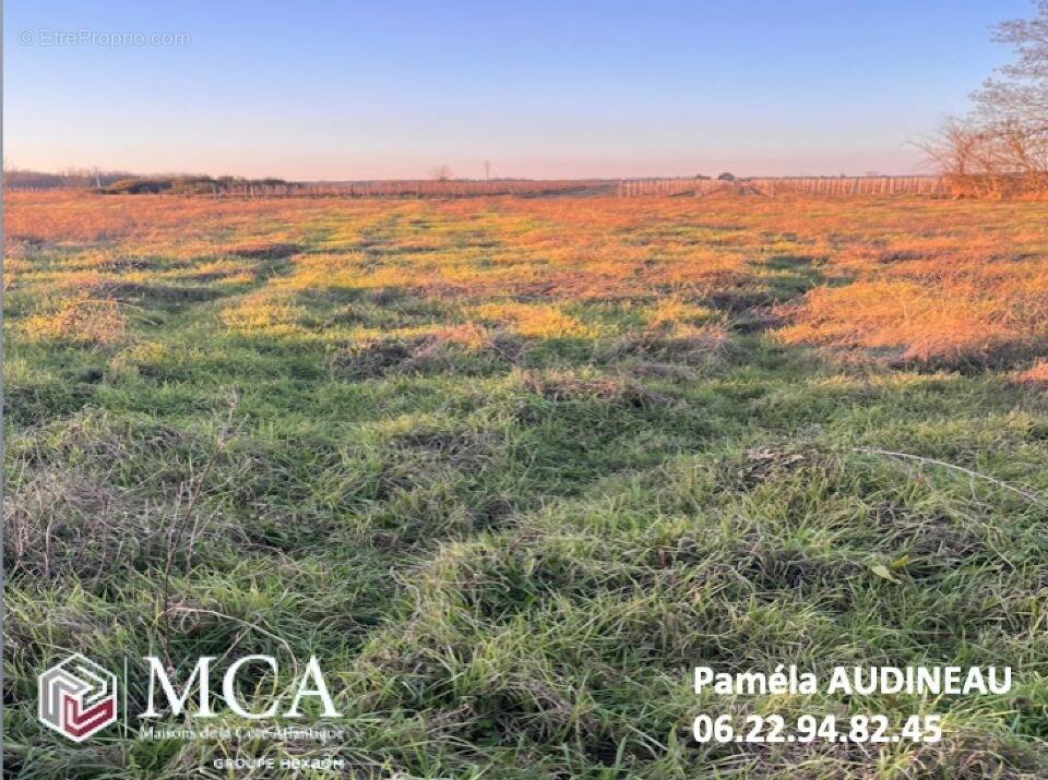 Terrain à CERONS