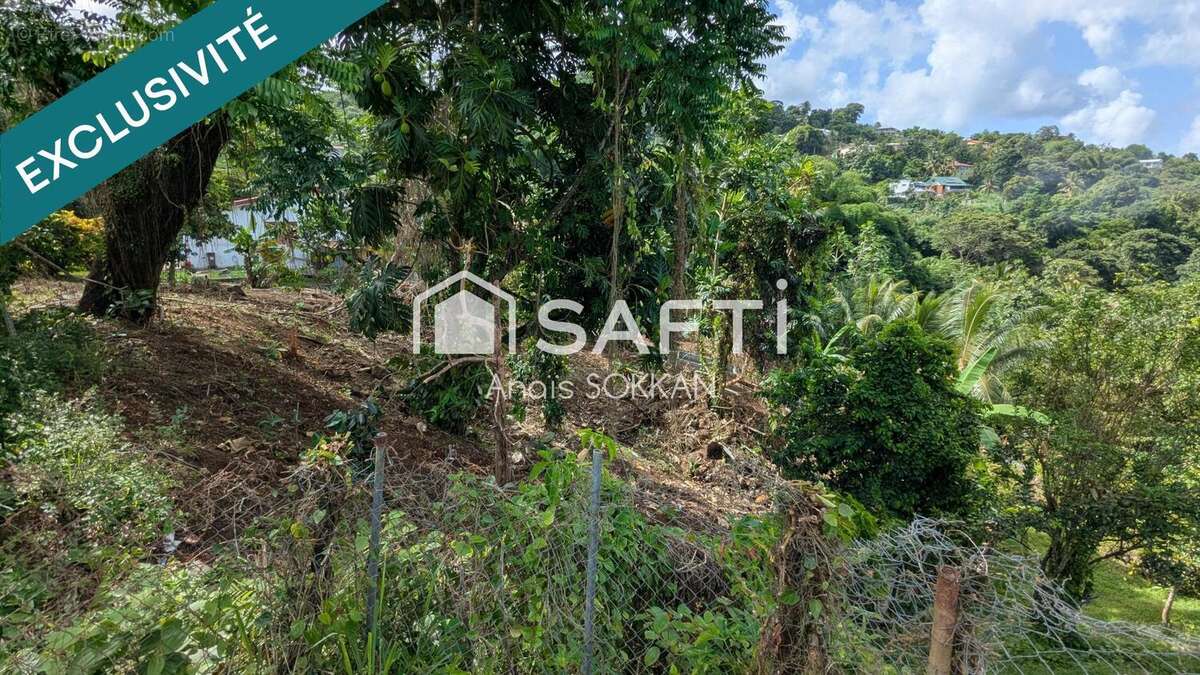 Photo 7 - Terrain à RIVIERE-SALEE