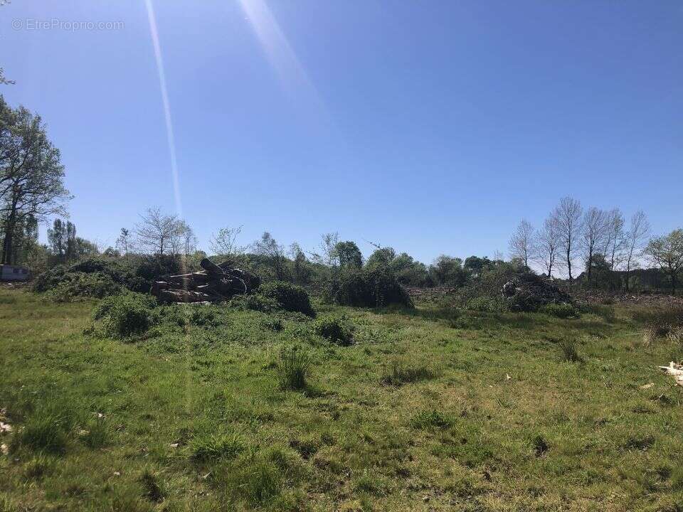 Terrain à GAILLAN-EN-MEDOC