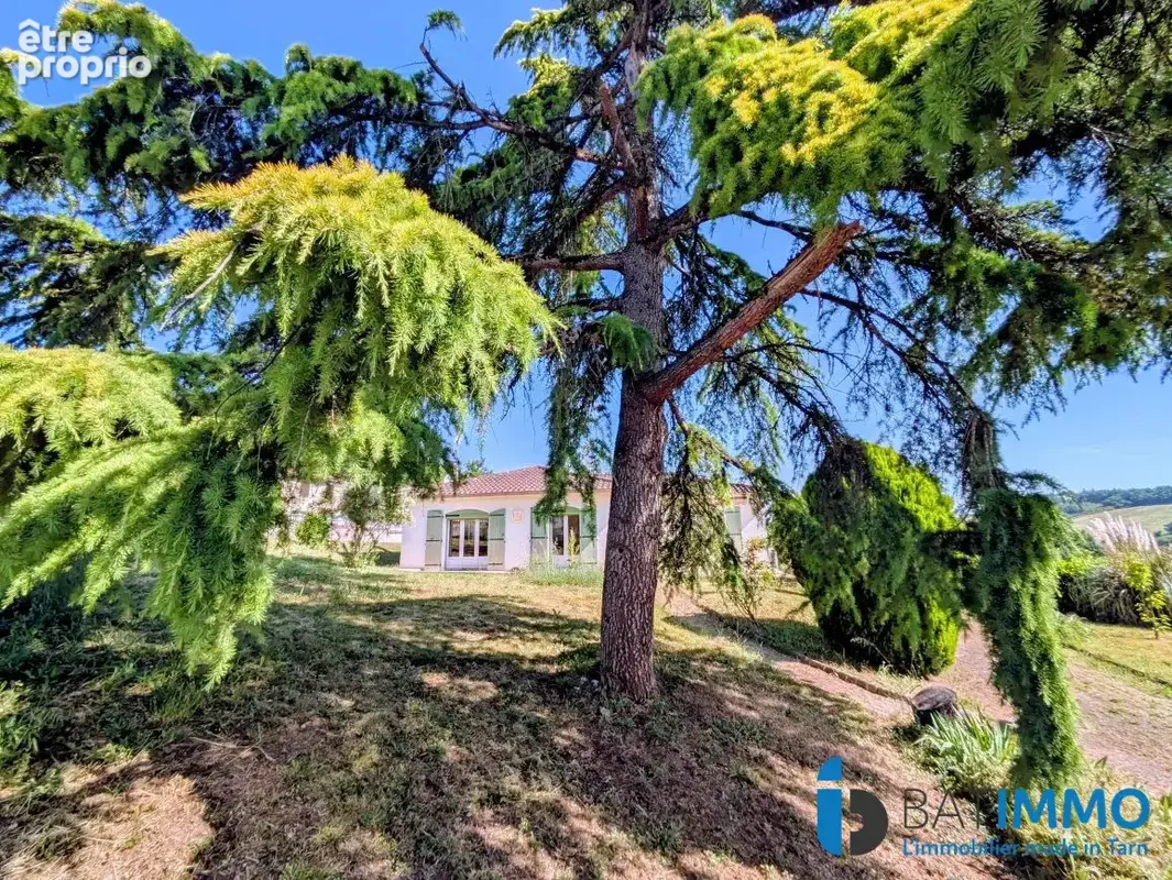 Photo Maison à Albi au prix de 249 000€