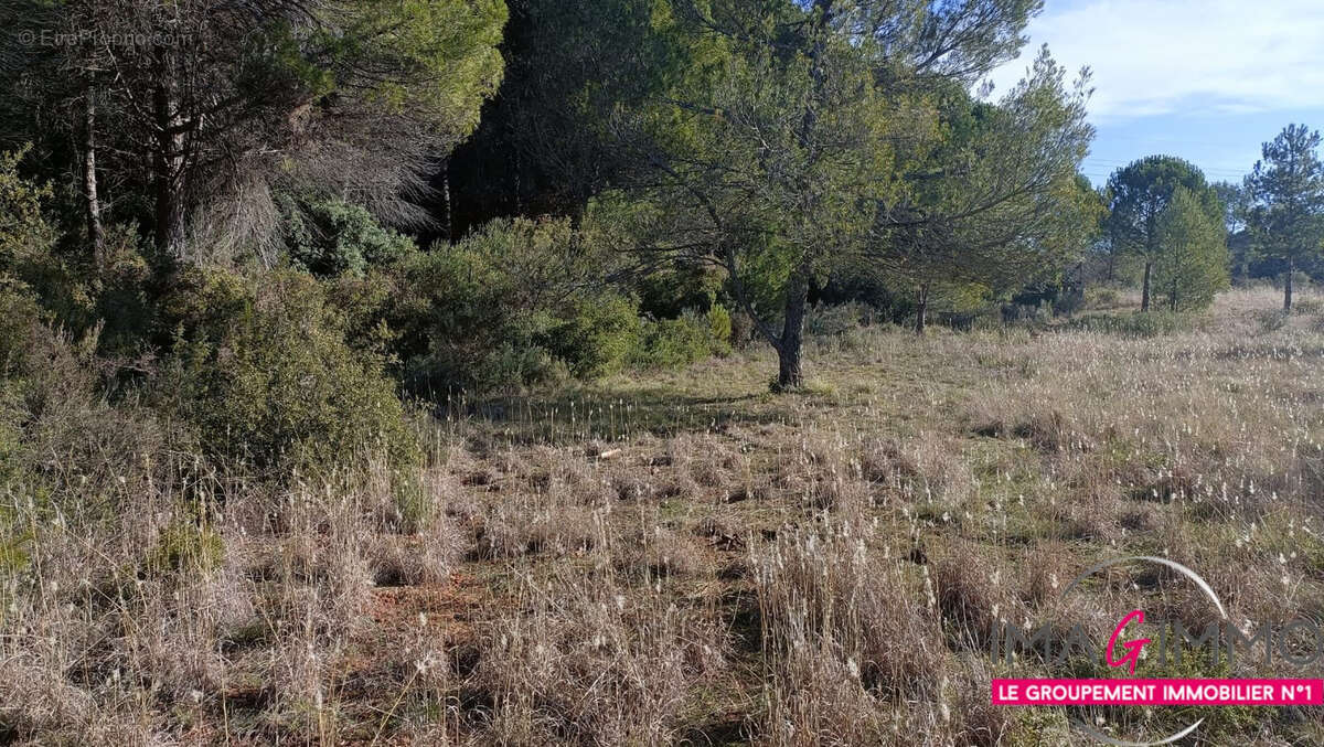 Terrain à MONTARNAUD