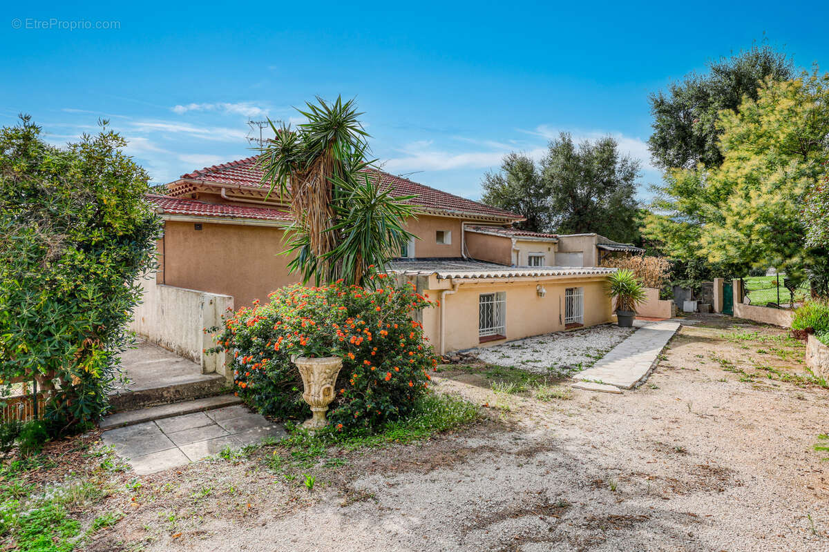 Maison à LE LAVANDOU