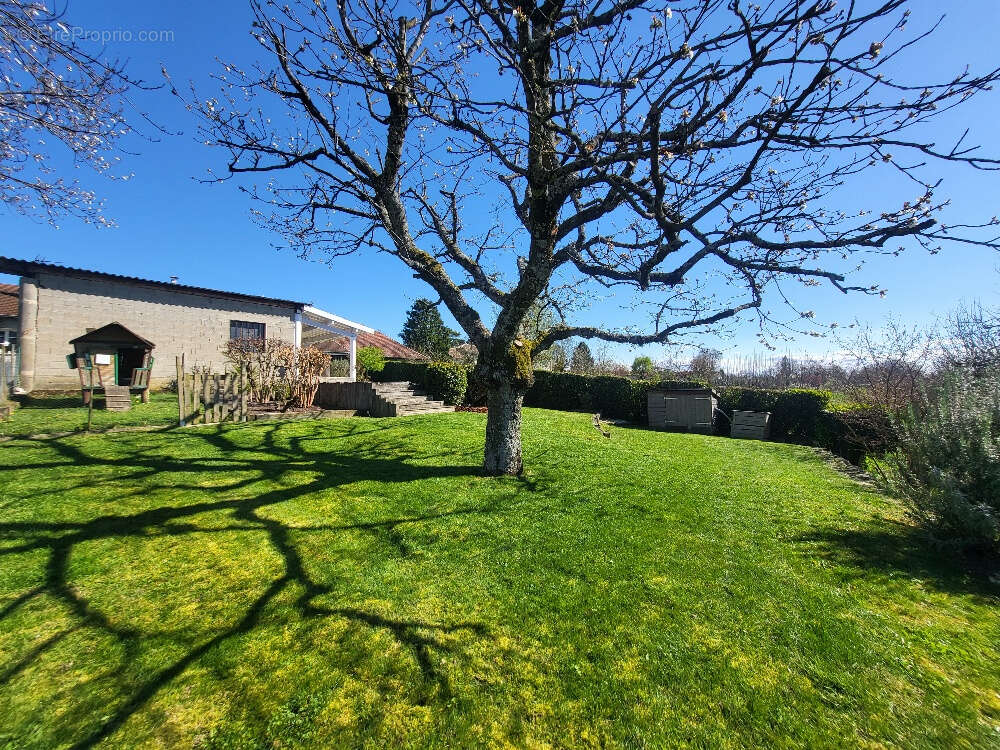 Maison à PONT-DE-VEYLE