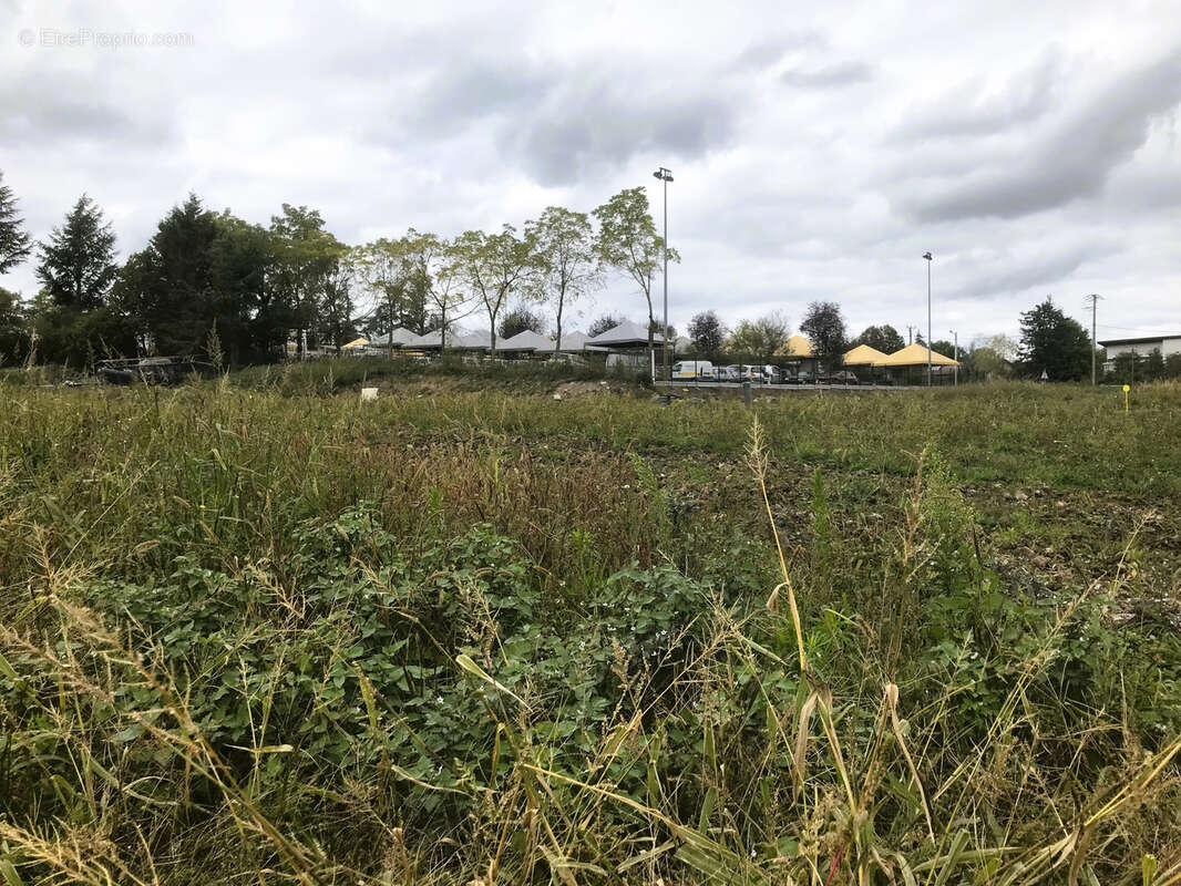 Terrain à ROCHE-LA-MOLIERE