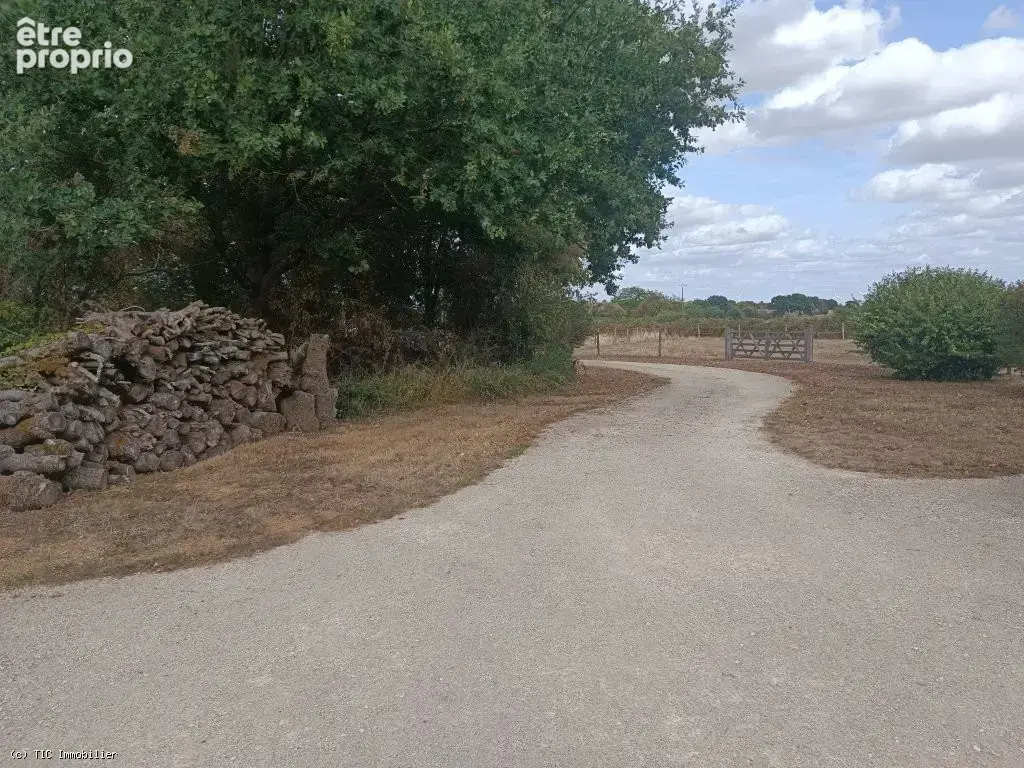 Très Belle Maison Ancienne de 3 Chambres avec Piscine et Terrain de Plus d'Un Hectare - photo 39