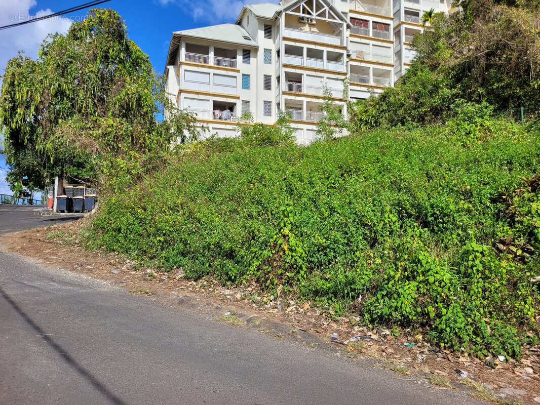 Terrain à LES ABYMES