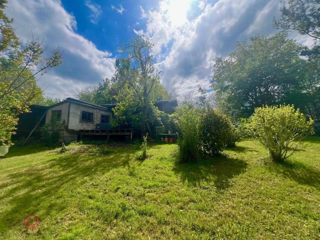 Maison à MONTESQUIEU-VOLVESTRE