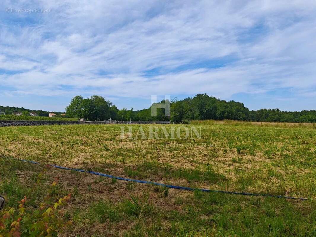 Terrain à LAHOURCADE