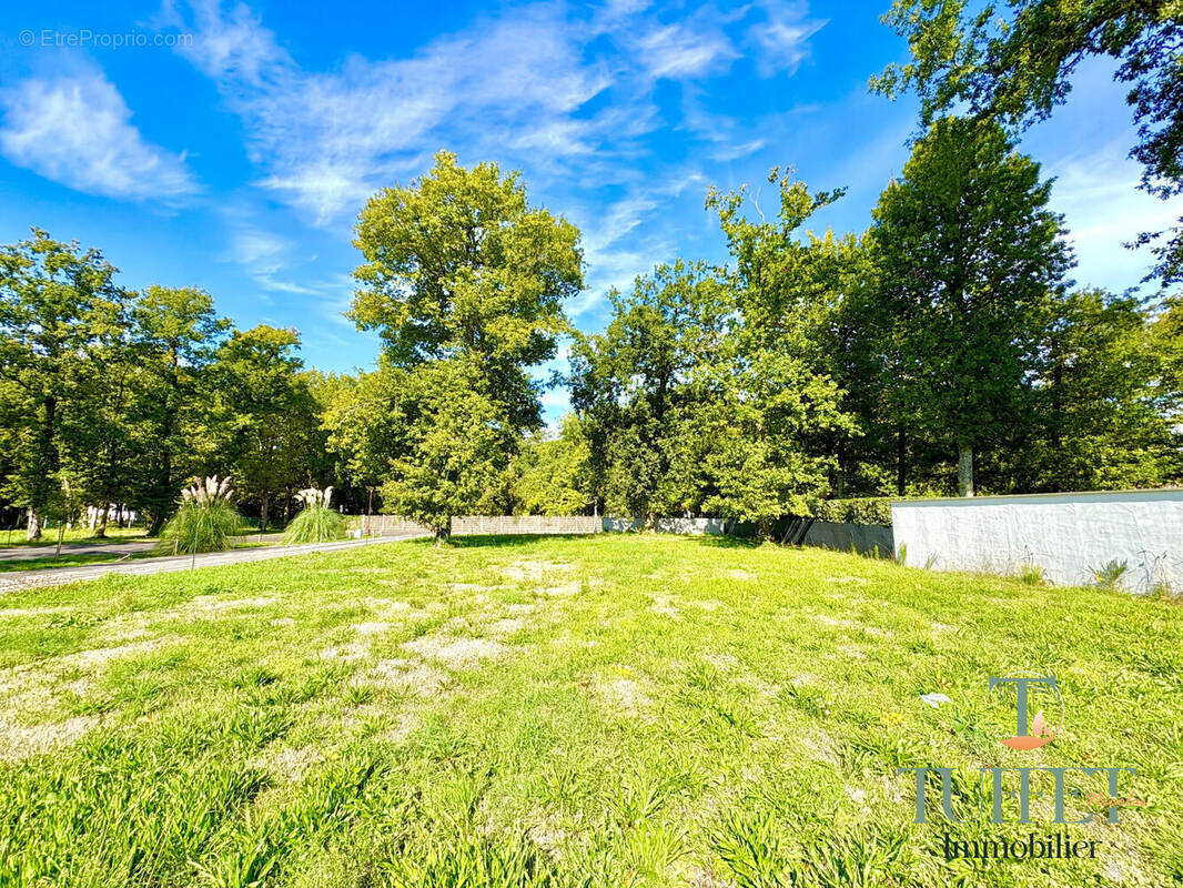 Terrain à LA TREMBLADE