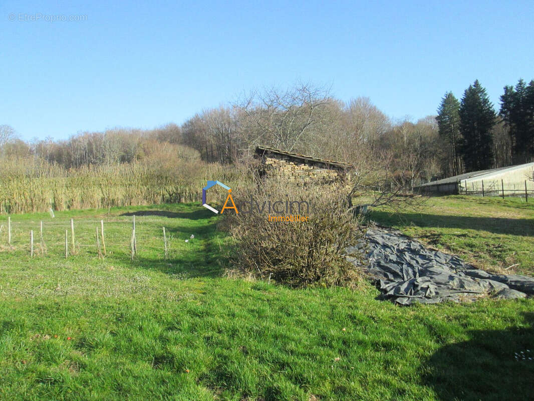 Terrain à AILLEVILLERS-ET-LYAUMONT