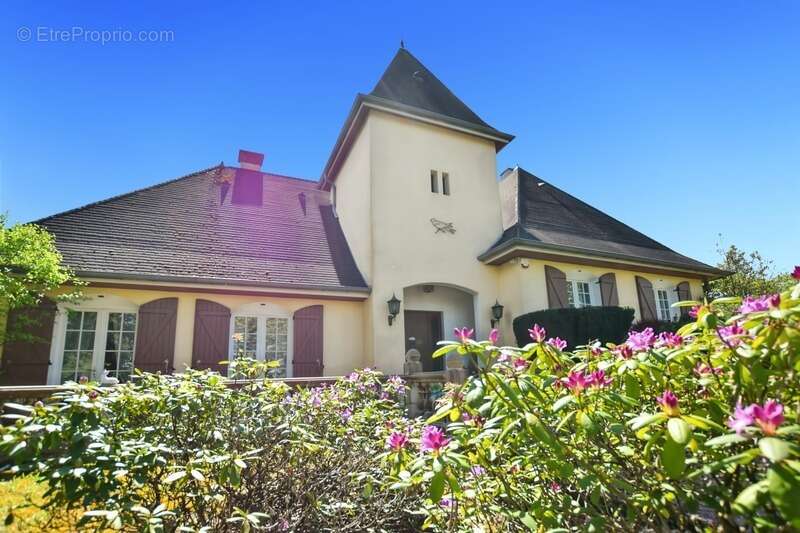 Propriete à vendre à ANTULLY avec terrain de 4577 m2 - photo 19