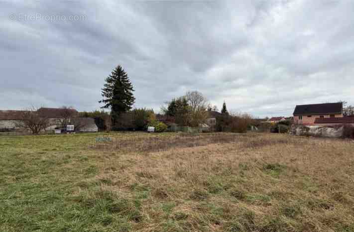 Terrain à THIEULLOY-L'ABBAYE