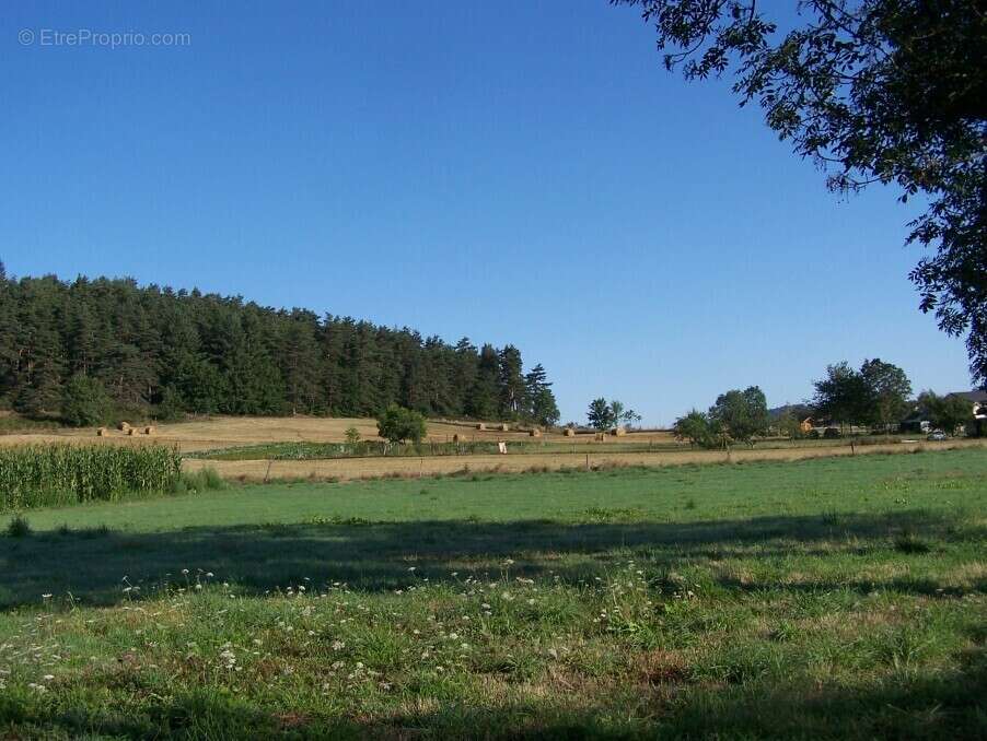 Terrain à YSSINGEAUX