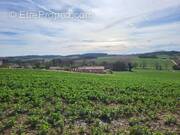 Terrain à PUYCASQUIER