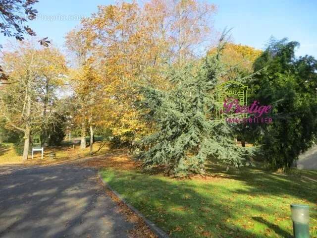 Appartement à LE MESNIL-LE-ROI