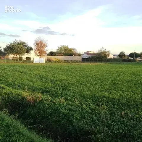 Terrain à MAILLE
