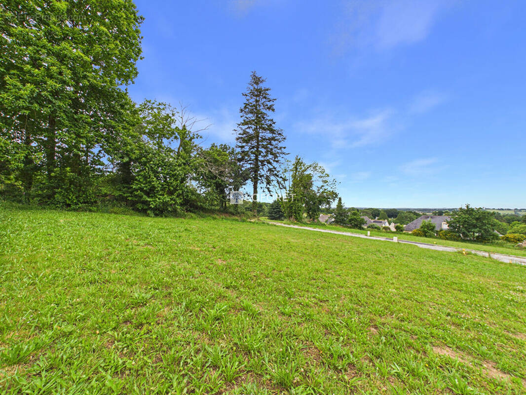 Terrain à SAINT-THOIS