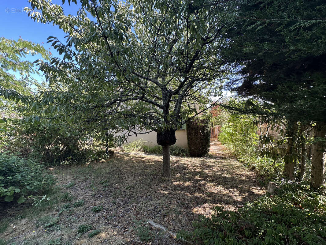 Maison plain-pied sur sous sol Bellerive/Allier - photo 3