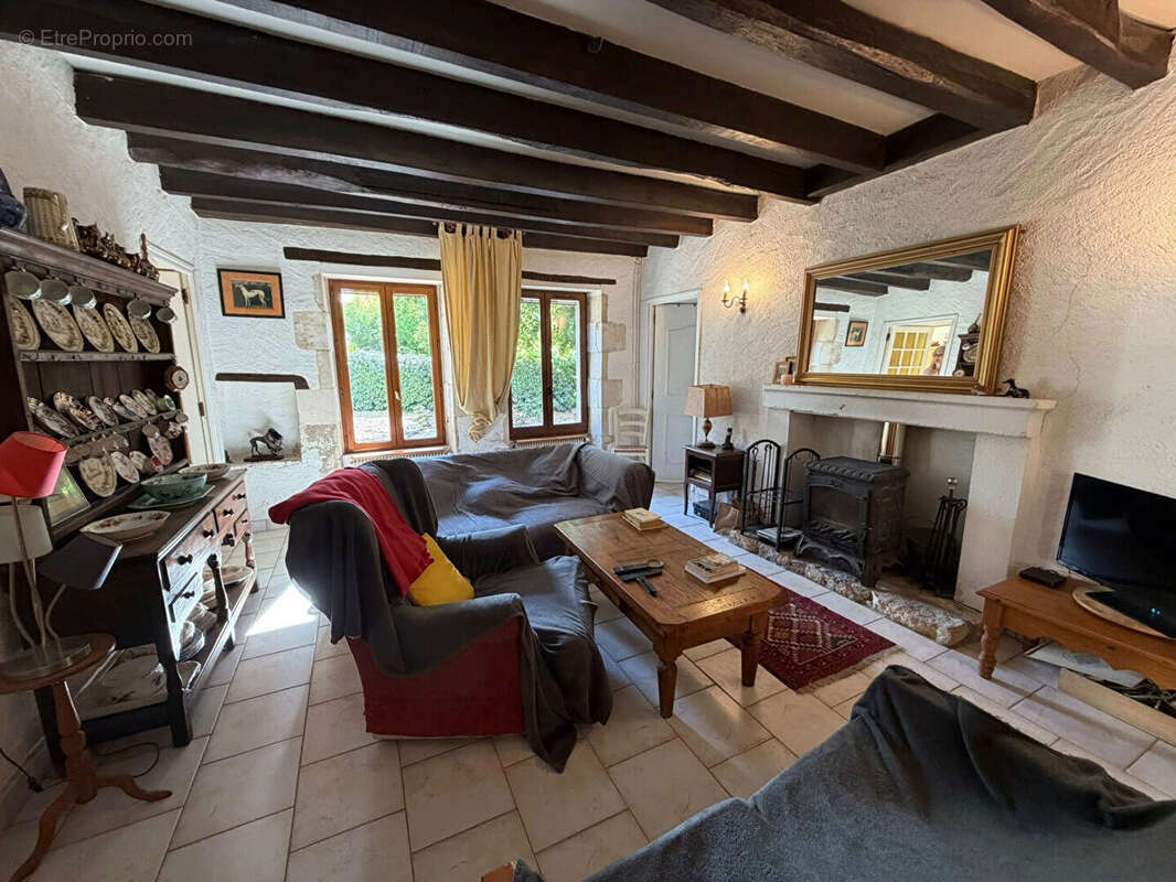VIENNE ? Superbe propriété de campagne mitoyenne avec 1,2 hectare de terrain attenant, piscine et cadre champêtre exceptionnel. - photo 4