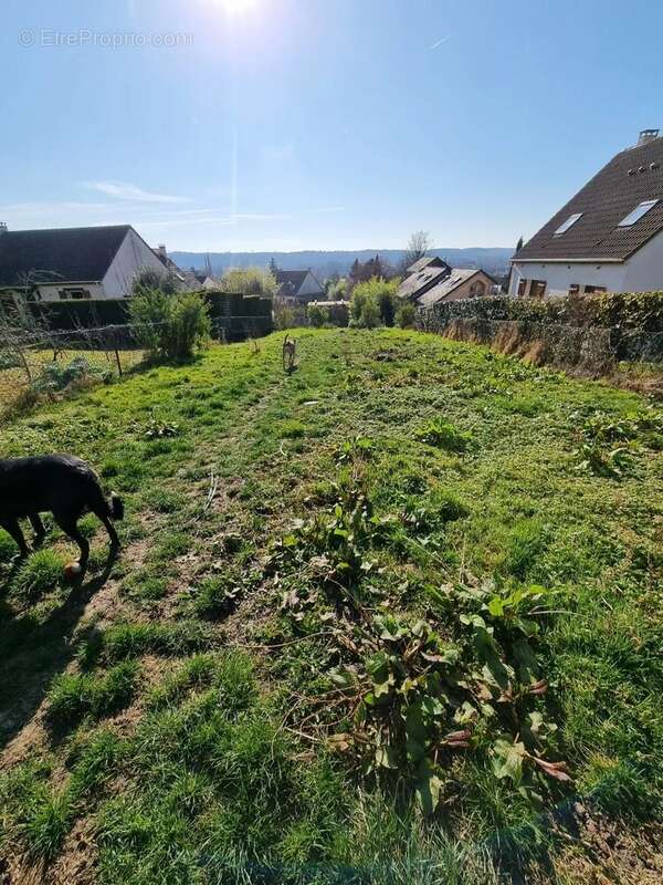 Maison à COULOMMIERS