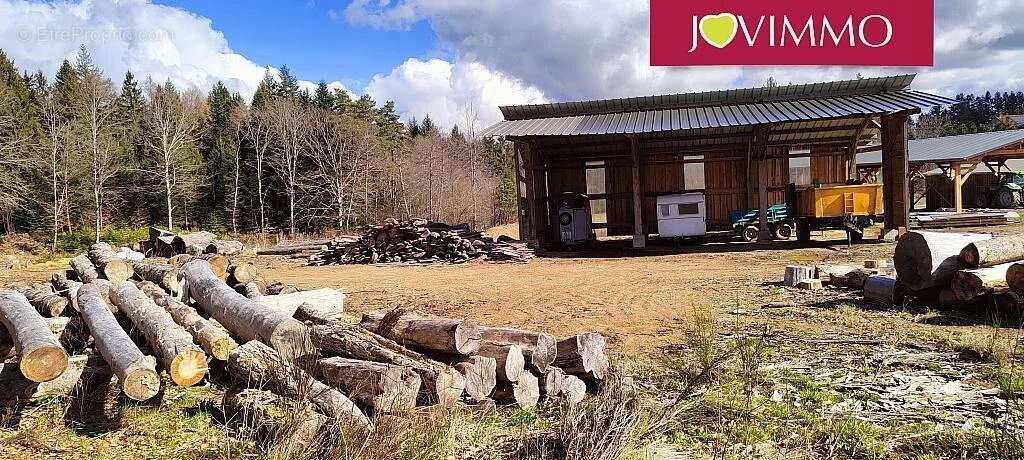 Commerce à CHIRAC-BELLEVUE