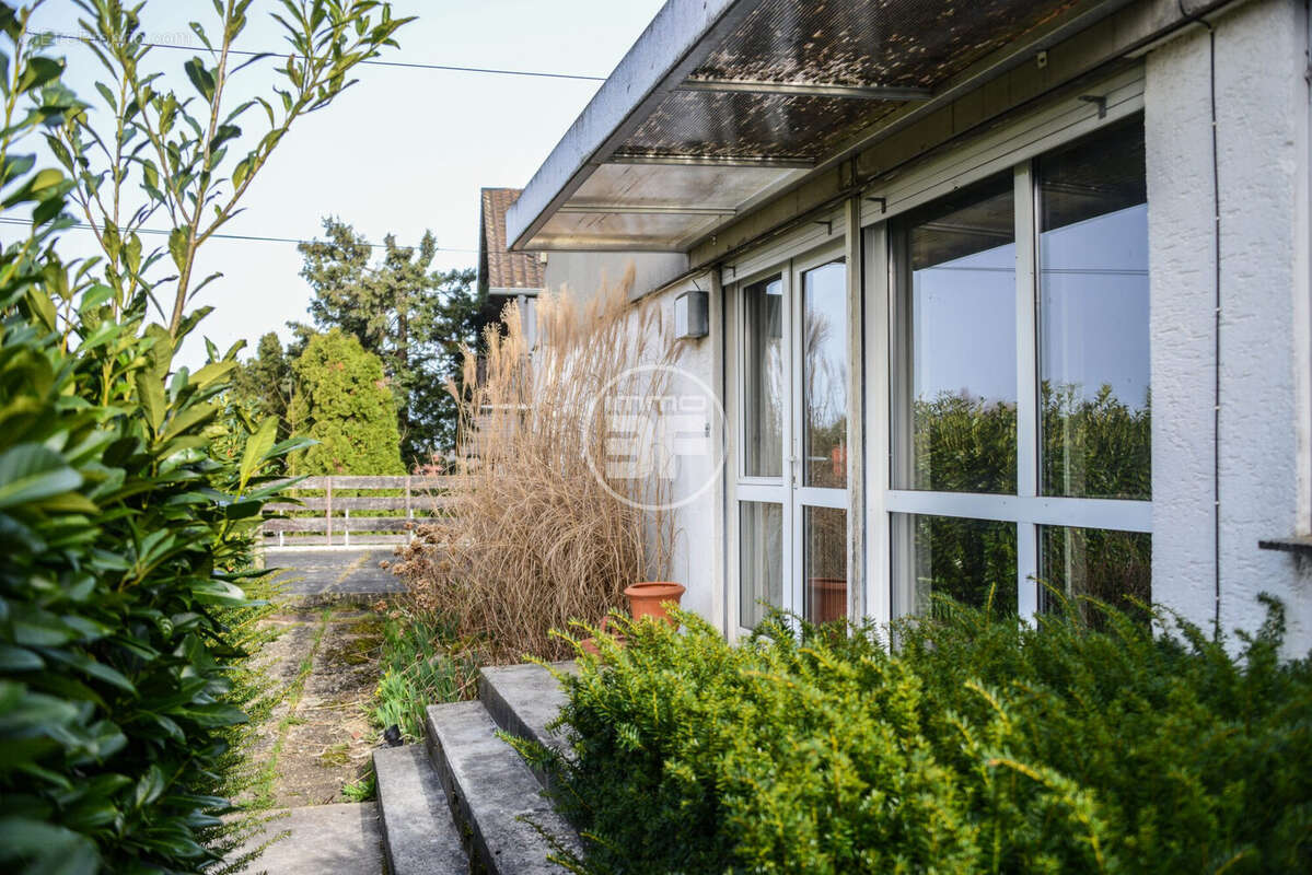 Maison à BUSCHWILLER