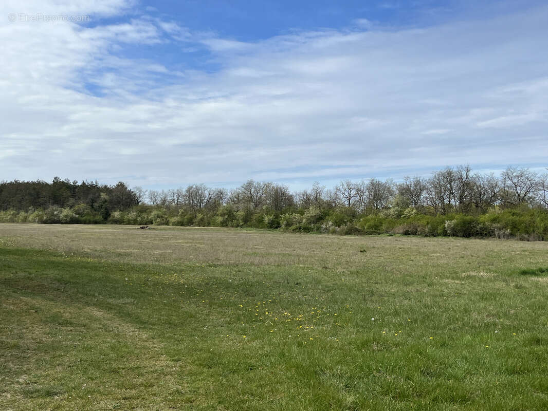 Terrain à NOGENT-SUR-VERNISSON