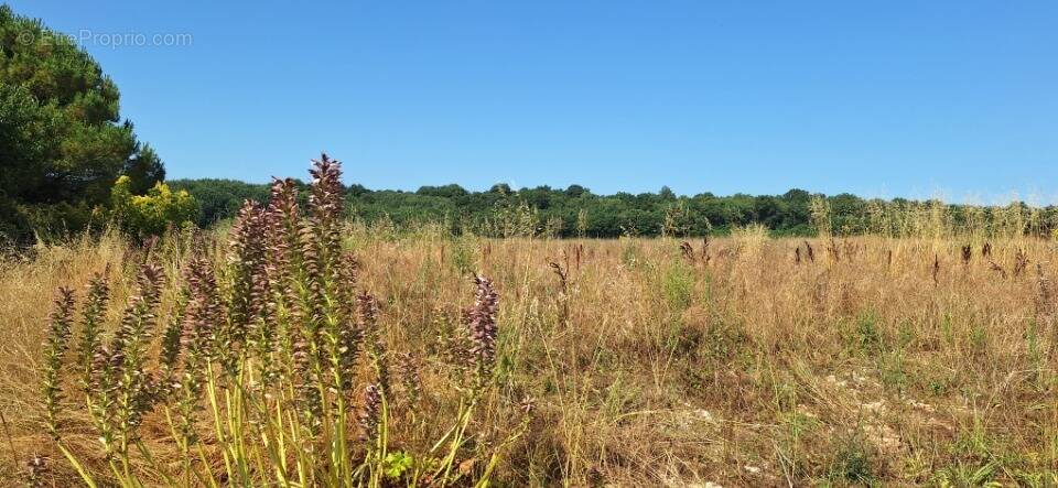 Terrain à MEURSAC