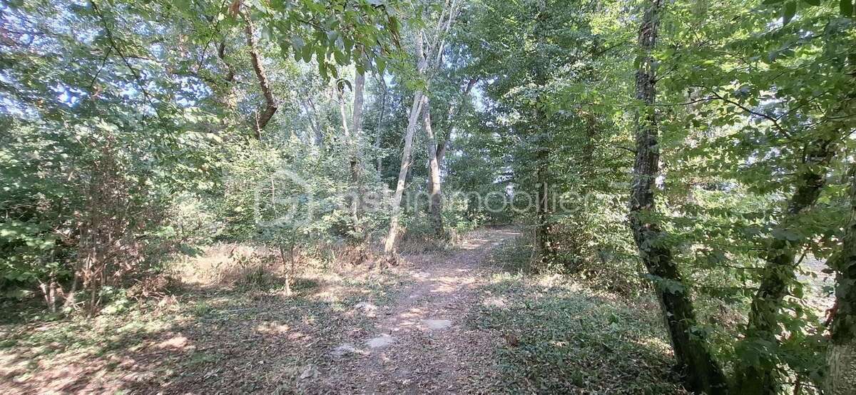 Propriété de charme dans un cadre naturel au calme ! - photo 21