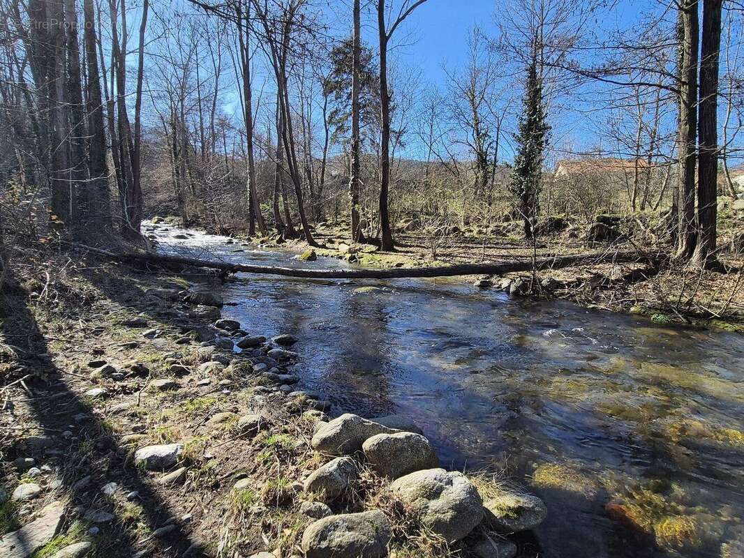 MAS DE CARACTERE 308M² au Coeur des Pyrénéen - Orientales - photo 5
