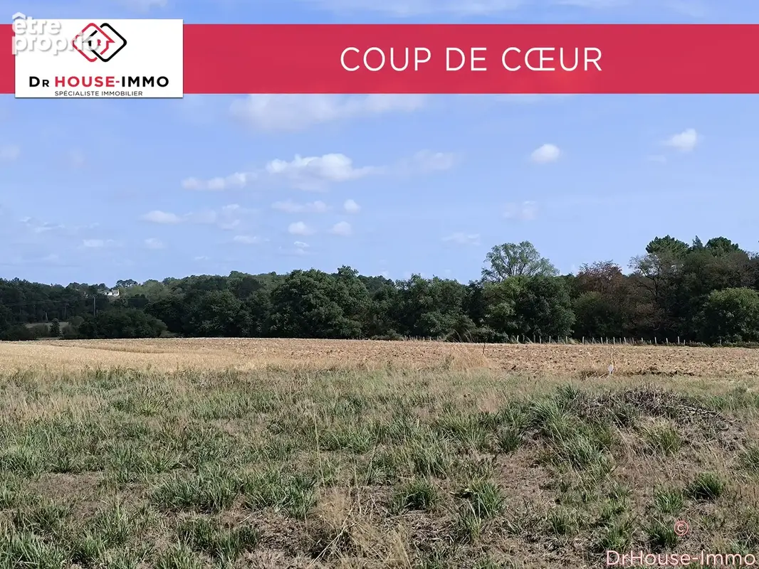 Terrain à ALLAIRE