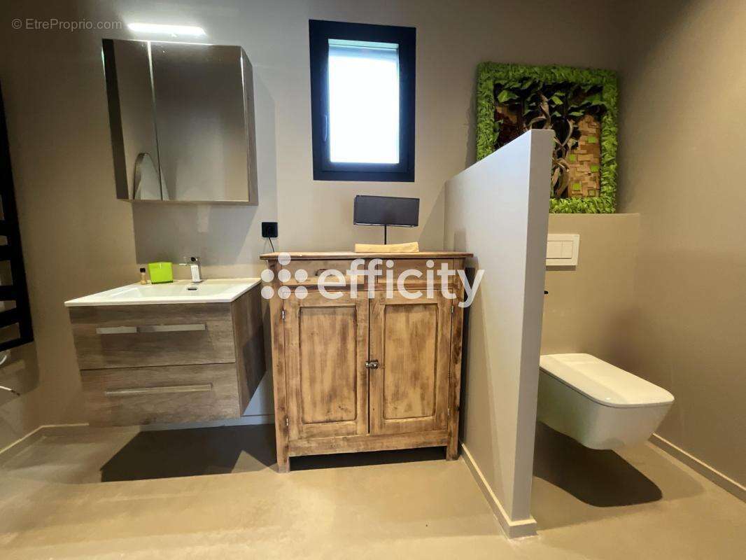Maison 261 m² à Saint-Lager-Bressac  - photo 18