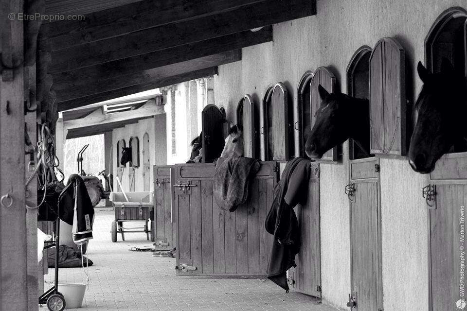 Maison à CHATILLON-SUR-CHALARONNE