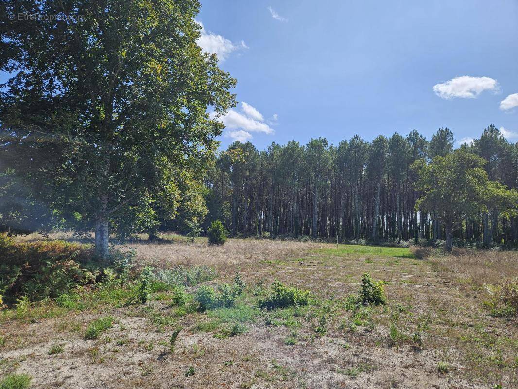 Terrain à MARTILLAC